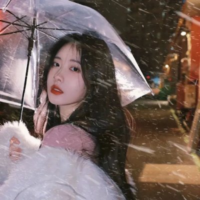 玫瑰计划